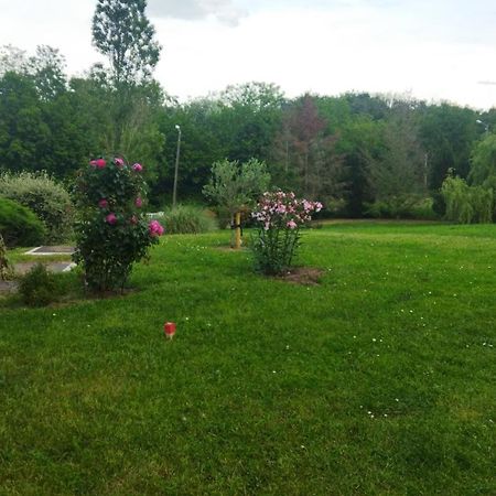 Chambre Avec Entree Independante Dans Un Ecrin De Verdure Dommartin  Екстериор снимка